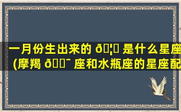 一月份生出来的 🦉 是什么星座(摩羯 🐯 座和水瓶座的星座配对指数)
